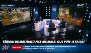 « Allô Marie ? » : Témoin de maltraitance animale, que puis-je faire ? - 27/10