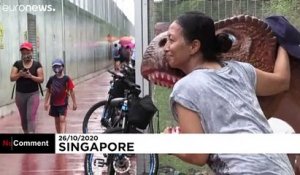Une piste cyclable remplie de dinosaures à Singapour