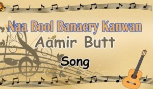 Naa Bool Banaery kanwan | Aamir Butt | Song | Audio Visual | Gaane Shaane