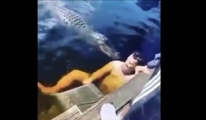 Voilà pourquoi il ne faut pas nager avec un alligator