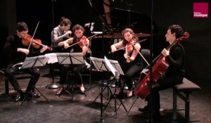 Reynaldo Hahn : Quintette pour piano et cordes en fa dièse mineur / I. Molto agitato e con fuoco