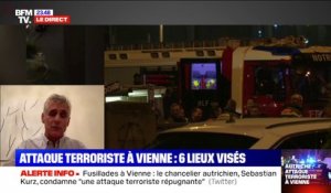 "C'est une attaque qui est certainement dirigée contre nos valeurs", selon ambassadeur d'Autriche en France