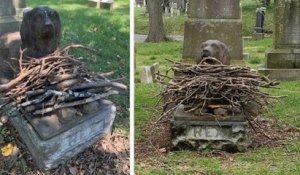 Dans ce cimetière, les visiteurs déposent des bâtons au pied de la statue d'un chien décédé il y a 100 ans
