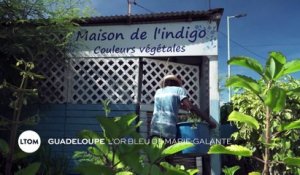 Guadeloupe - L'or bleu de marie galante