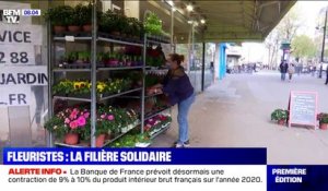 Confinement: les fleuristes s'organisent avec les producteurs français pour minimiser les pertes
