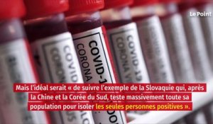 Covid 19 : « On pourrait confiner uniquement les personnes à risque important »