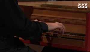 Scarlatti : Sonate en ré mineur K 41 (Enrico Baiano) - #Scarlatti555