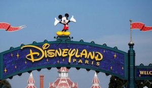 Disneyland Paris : 6 millions d'euros de nourriture et matériel médical distribués aux associations