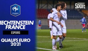 Le résumé de Liechtenstein / France