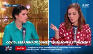 « Allô Marie ? » : Les animaux domestiques sont-ils touchés par le Covid ? - 17/11