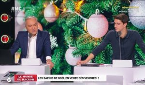 Le monde de Macron : Les sapins de Noël en vente dès vendredi ! - 17/11