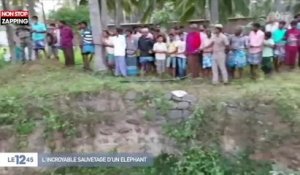 Inde : Sauvetage extrême d’un éléphant tombé au fond d’un puit de 20 mètres ! (vidéo)