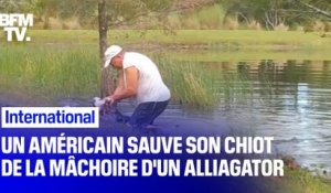 En Floride, un Américain sauve son chiot des mâchoires d'un alligator