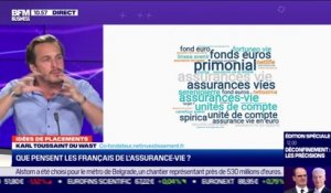 Idée de placements: Que pensent les Français de l'assurance-vie ? - 2611