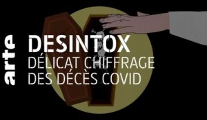 Décès et Covid : des chiffres incertains | 01/12/2020 | Désintox | ARTE