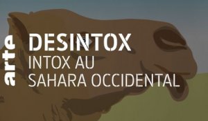 Intox au Sahara occidental | 02/12/2020 | Désintox | ARTE