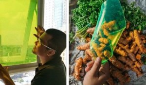 Aux Philippines, un étudiant a fabriqué des panneaux solaires à partir de déchets alimentaires