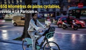 Île-de-France : 650 kilomètres de pistes cyclables avec le « RER vélo » ?