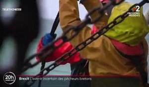 REPORTAGE. Brexit : les pêcheurs français désespérés par la perspective d'un "no deal"
