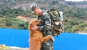 Après des années de relation, ce golden retriever de l'armée refuse de laisser partir à la retraite son maître-chien