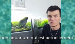Aymeric Bernard : zoom sur son aquarium