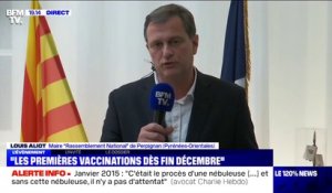 Stratégie de vaccination: pour Louis Aliot (RN) "les données sont plus sérieuses, mais ça n'enlève pas le doute"