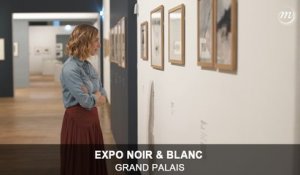 Regards d'artistes : Pénélope Bagieu dans l'expo Noir&Blanc