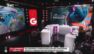 Les tendances GG: Un chevreuil pourchassé par des chasseurs suscite l'indignation des réseaux sociaux ! - 22/12