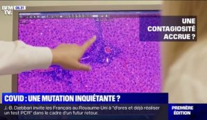 Mutation du Covid-19: que sait-on de cette nouvelle souche?