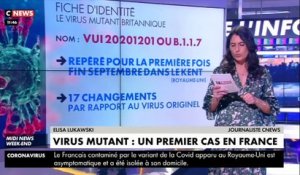 Coronavirus : un premier cas détecté en France du variant britannique (vidéo)