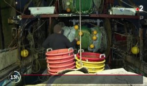 Brexit : l’accord laisse un goût amer pour les pêcheurs britanniques
