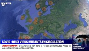 Covid-19: deux formes mutantes du virus identifiées en France