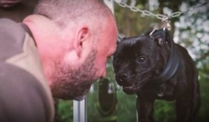 Christophe Ellul savait-il que le passeport de son chien était faux ?