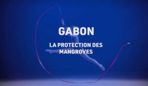 TLS le mag, La protection des mangroves au Gabon, Telesud, le 07/01/21