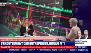 Sylvie Goulard (Sous-gouverneure de la Banque de France) : Quels risques pour le système financier ? - 07/01