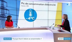 Électricité : les Français doivent diminuer leur consommation à certaines heures