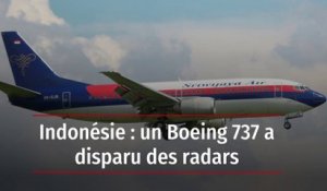 Indonésie : un Boeing 737-500 disparaît avec 62 personnes à bord