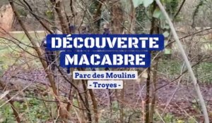 Découverte macabre au Parc des Moulins à Troyes
