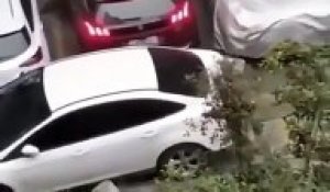 Cette voiture a foncé sur le véhicule qui a bloqué son chemin pour sortir d’un parking