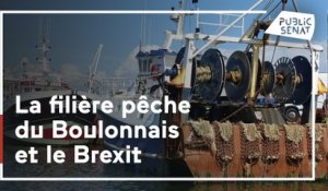Brexit : les conséquence sur la filière pêche du Boulonnais