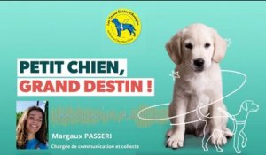 Interview de Margaux Passeri pour l'association des chiens guides d'aveugles Provence Côte d'Azur Co