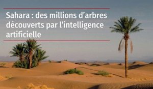 Sahara : des millions d’arbres découverts par l’intelligence artificielle