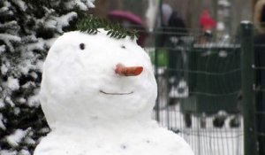 Une partie de l'Europe de l'ouest sous la neige