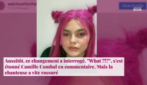 Louane : son nouveau look radical partage les internautes