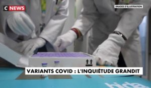 Variants coronavirus : l'inquiétude grandit