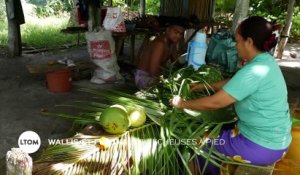 Wallis-et-Futuna - Les pêcheuses à pied