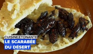 Cuisine étonnante: les scarabées