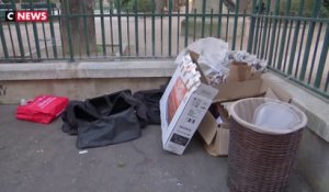 Crise sanitaire : les rats envahissent Paris