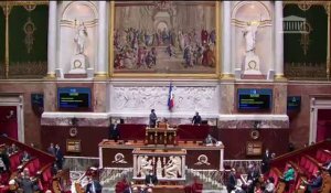 2ème séance : Questions au Gouvernement ; Approbation de la décision (UE, Euratom) 2020/2053 du Conseil du 14 décembre 2020 ; Lutte contre la maltraitance animale - Mardi 26 janvier 2021