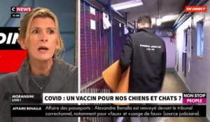 Un rapport préconise de vacciner les chiens et les chats contre la Covid: Les explications de la vétérinaire Hélène Gateau - VIDEO